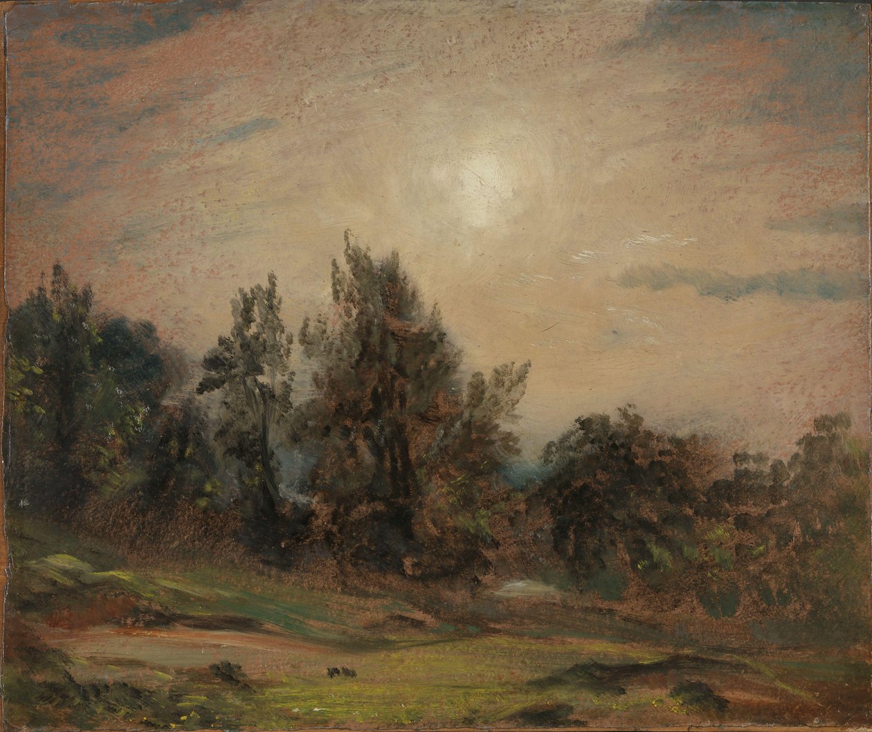 Drzewa na Hampstead Heath autorstwa John Constable