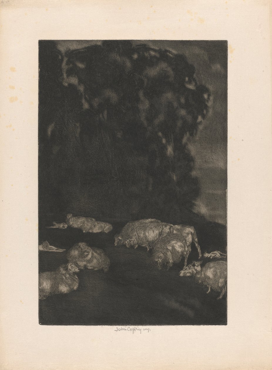 Owce w Zmierzchu autorstwa John Copley