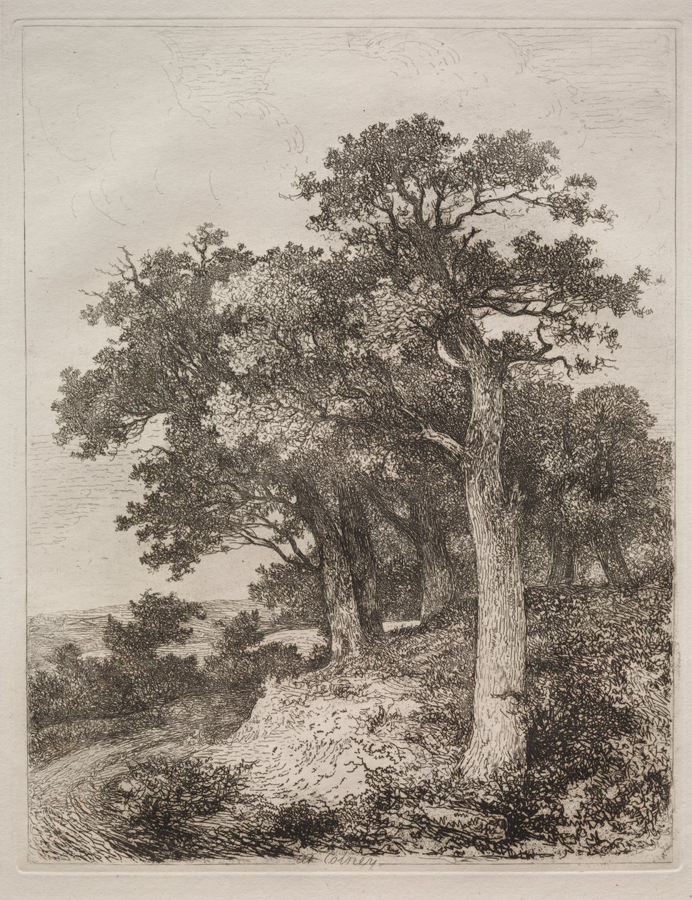 w Colney autorstwa John Crome