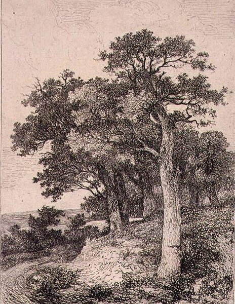 W Colney, wyd. J. i W. Freeman autorstwa John Crome
