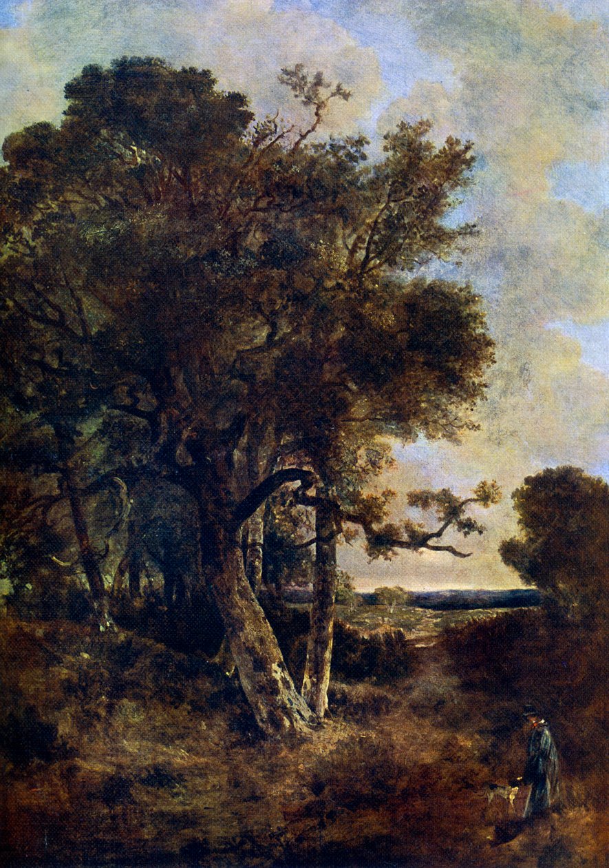 Na spódnicach lasu, c1788-1821, 1912. autorstwa John Crome