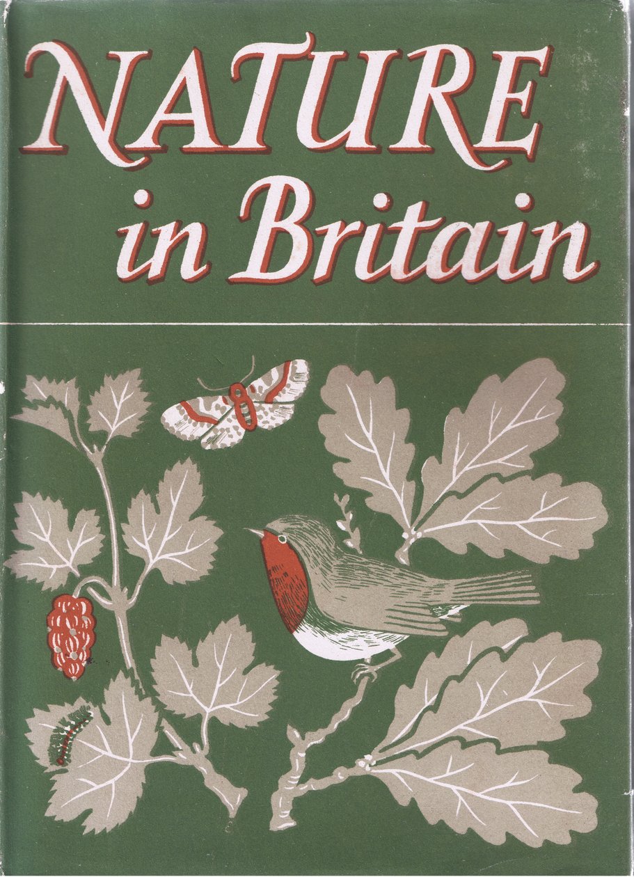 Study of Trees, Nature in Britain opublikowane przez Collins, 1946 autorstwa John Crome