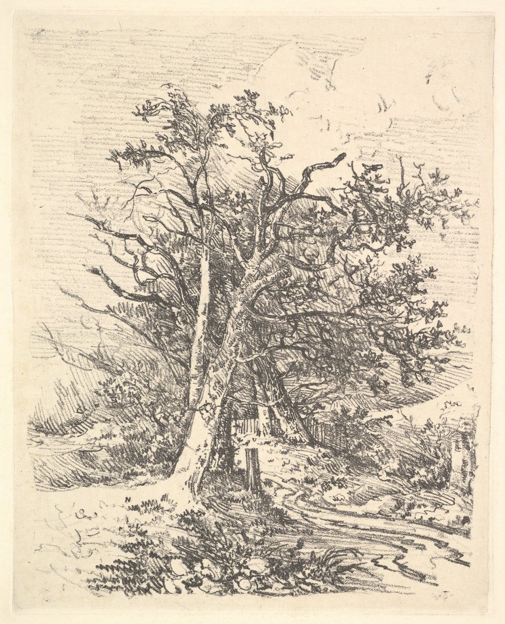 Pnie drzew i aleja, 1811-13. autorstwa John Crome