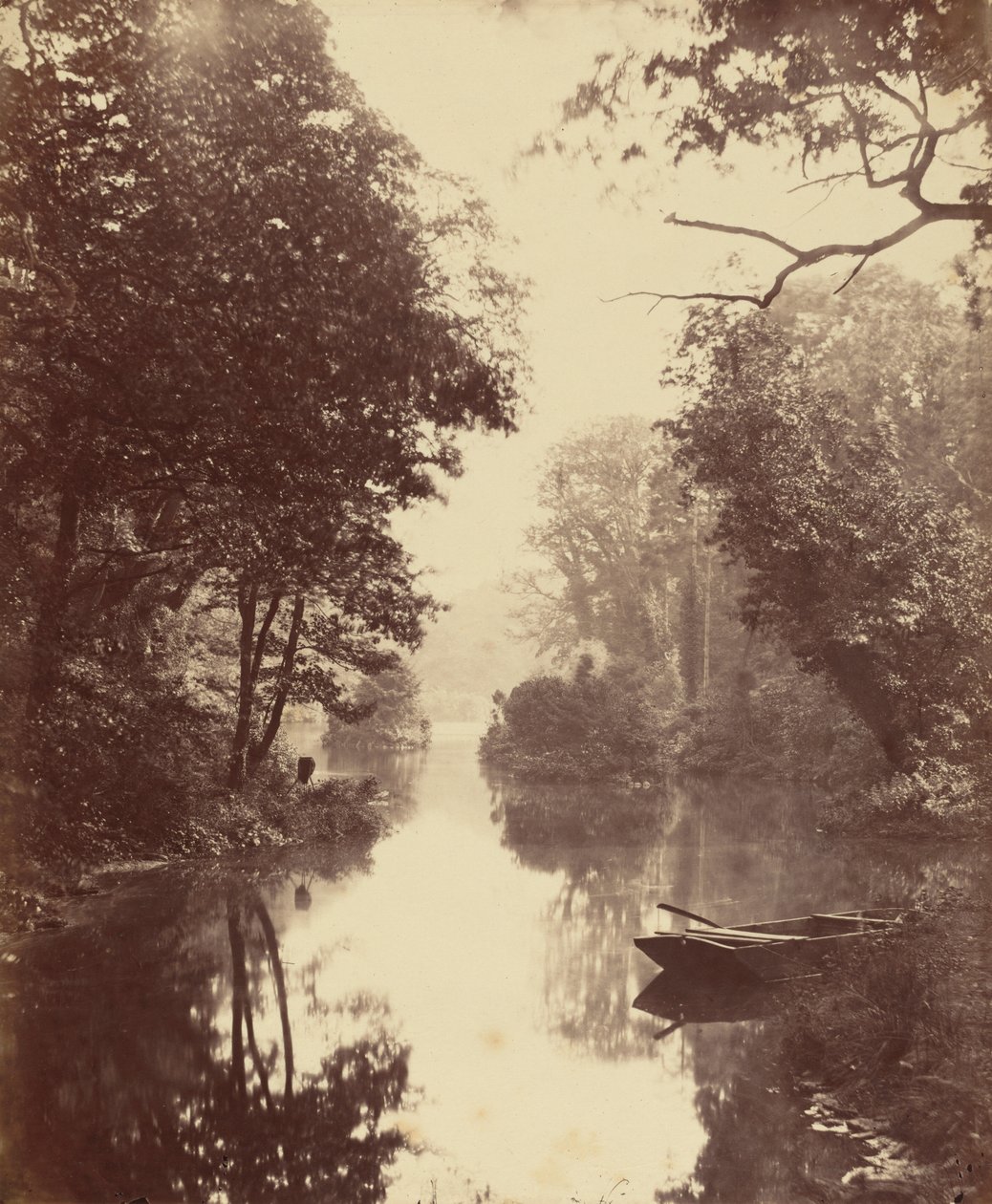 Letni wieczór, Penllergare autorstwa John Dillwyn Llewelyn