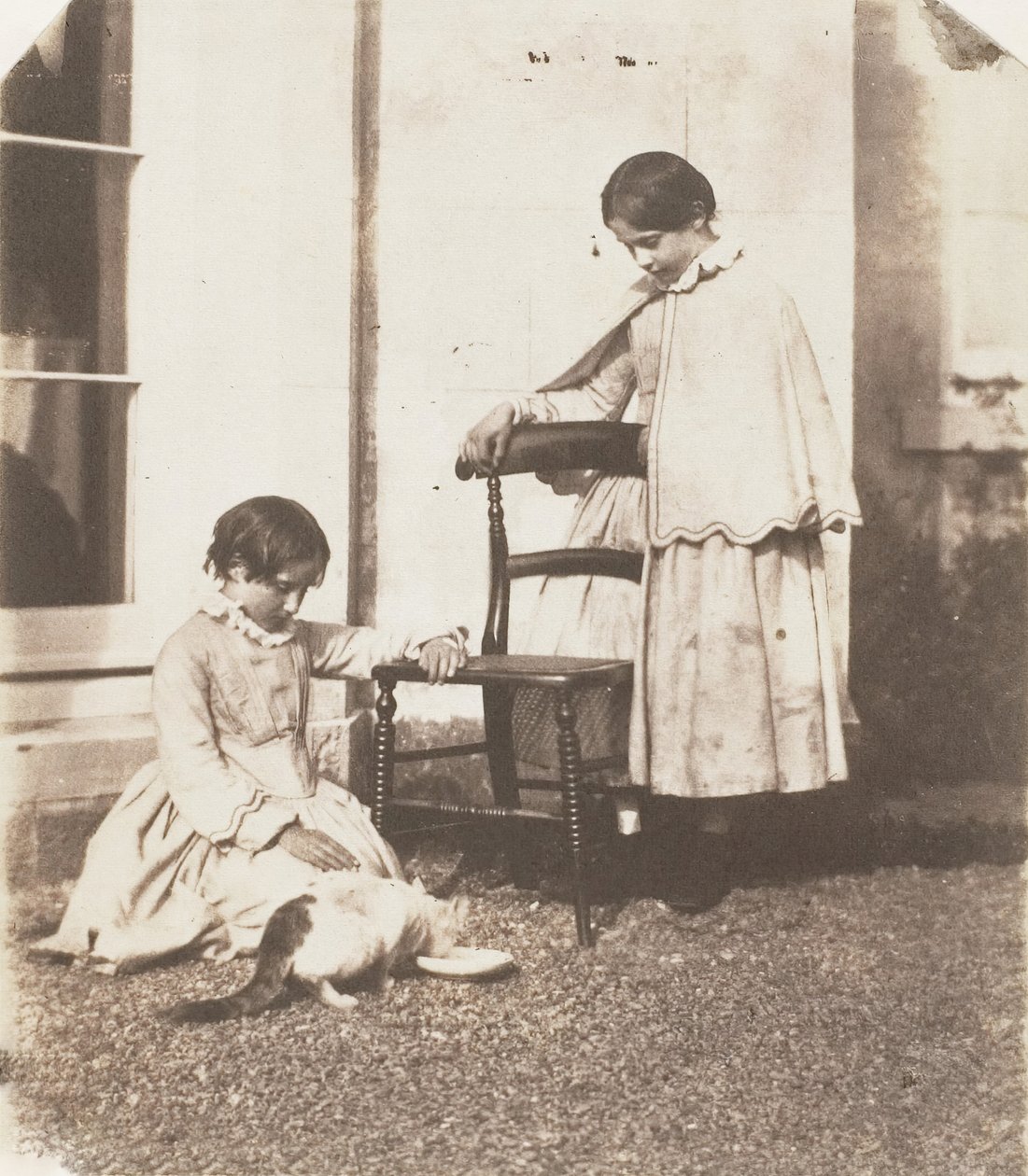 Karmienie biednego kota, 1853-56. autorstwa John Dillwyn Llewelyn