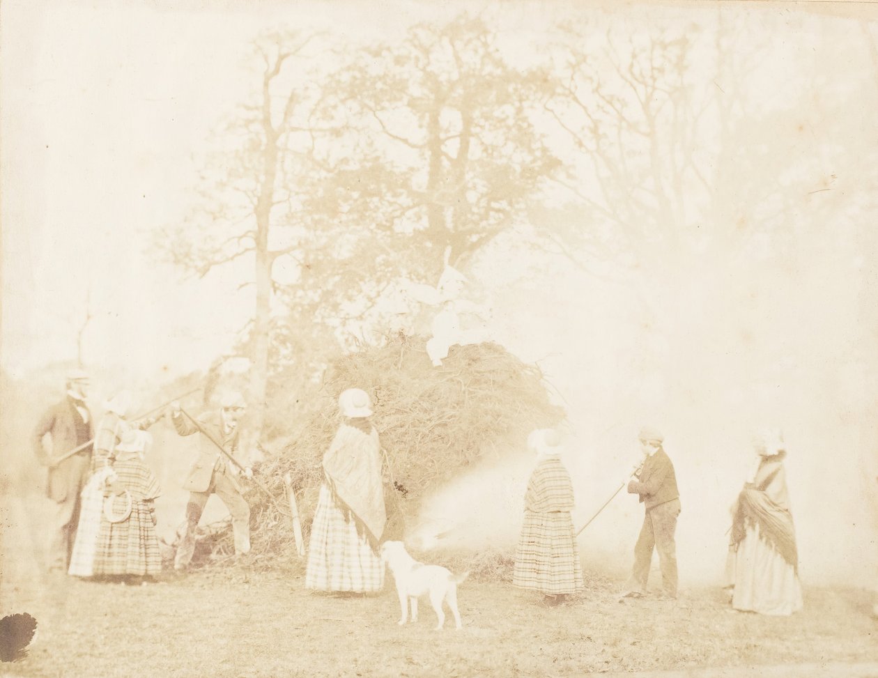 Guy Fawkes, 1853. autorstwa John Dillwyn Llewelyn
