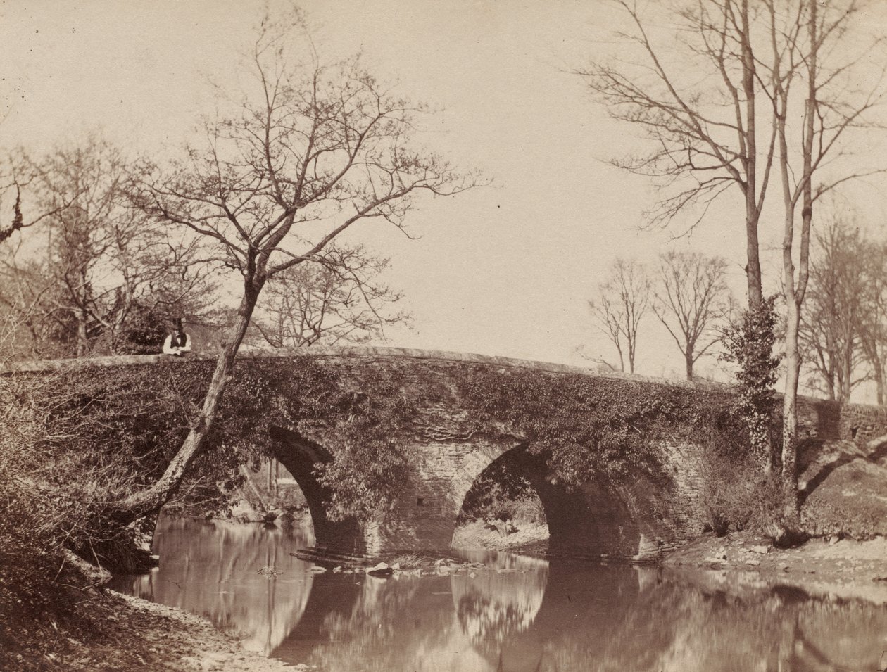Most Wiejski Most Staplylton, Bristol, ok. 1930 r. 1854-1857. autorstwa John Dillwyn Llewelyn
