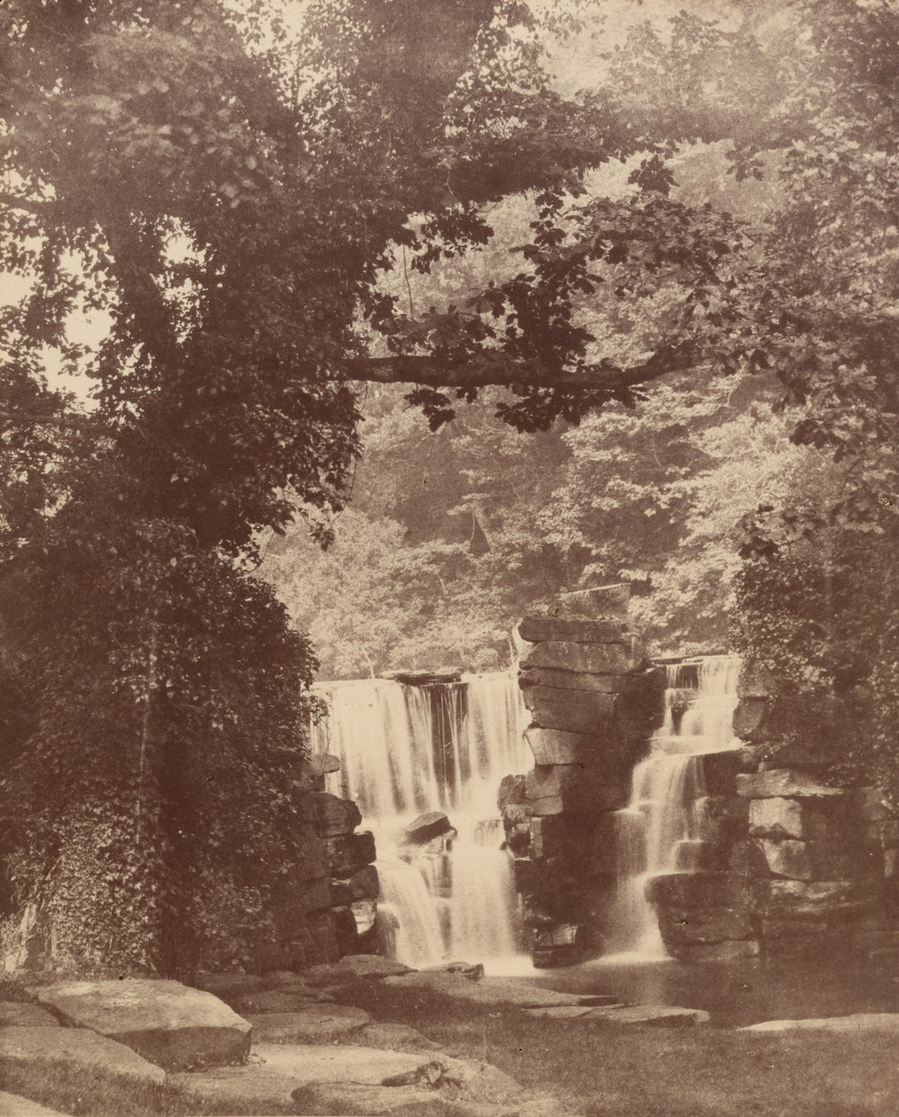 Górny wodospad, Penllergare Valley Woods, ok. 1852 (zdjęcie) autorstwa John Dillwyn Llewelyn
