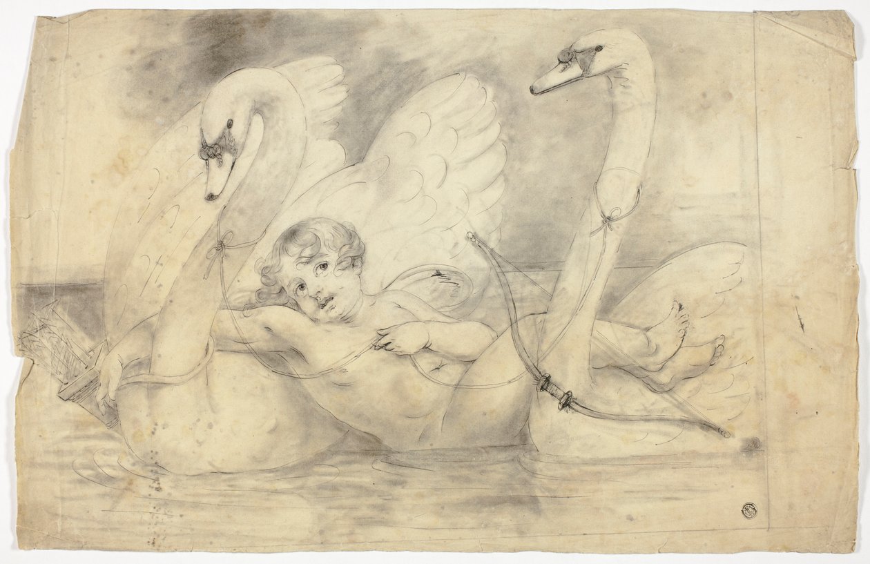 Kupidyn i łabędzie autorstwa John Downman