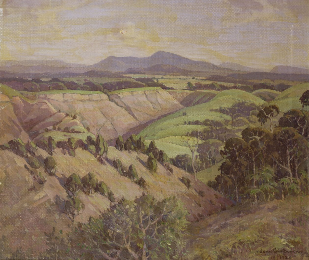 Dolina Mamaku autorstwa John Duncan