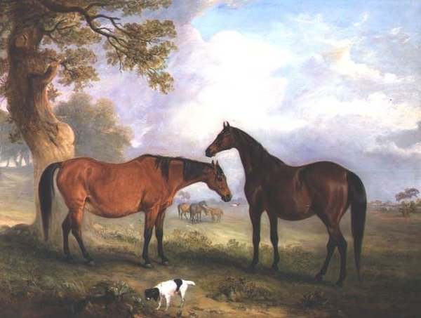 Klacze hodowlane w Grass autorstwa John E. Ferneley