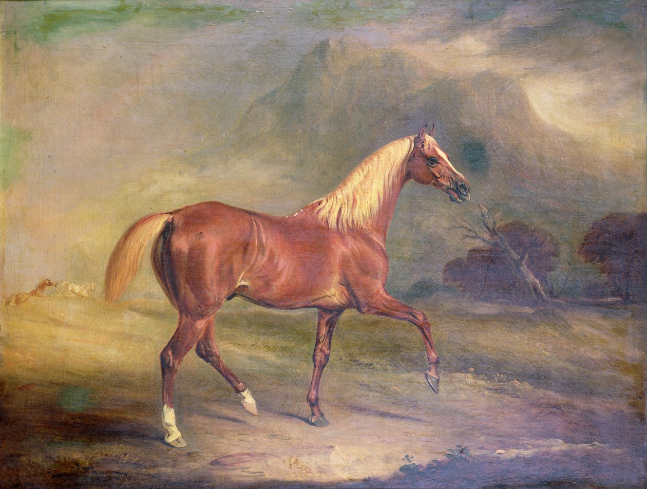 Kasztanowy Ogier Arabski autorstwa John E. Ferneley