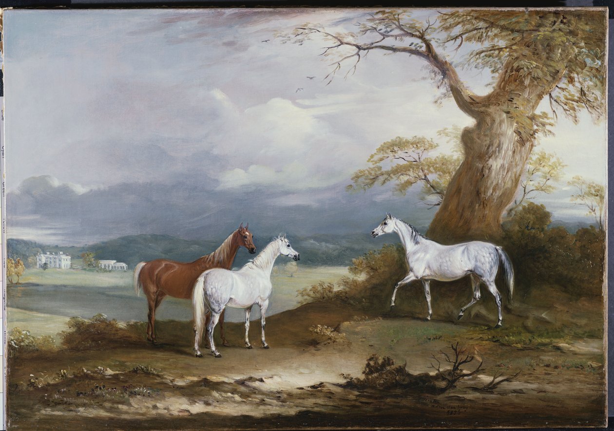 Klacze Lorda Macdonalda na terenie Thorpe Hall, Rudston, Yorkshire, 1836 r autorstwa John E. Ferneley