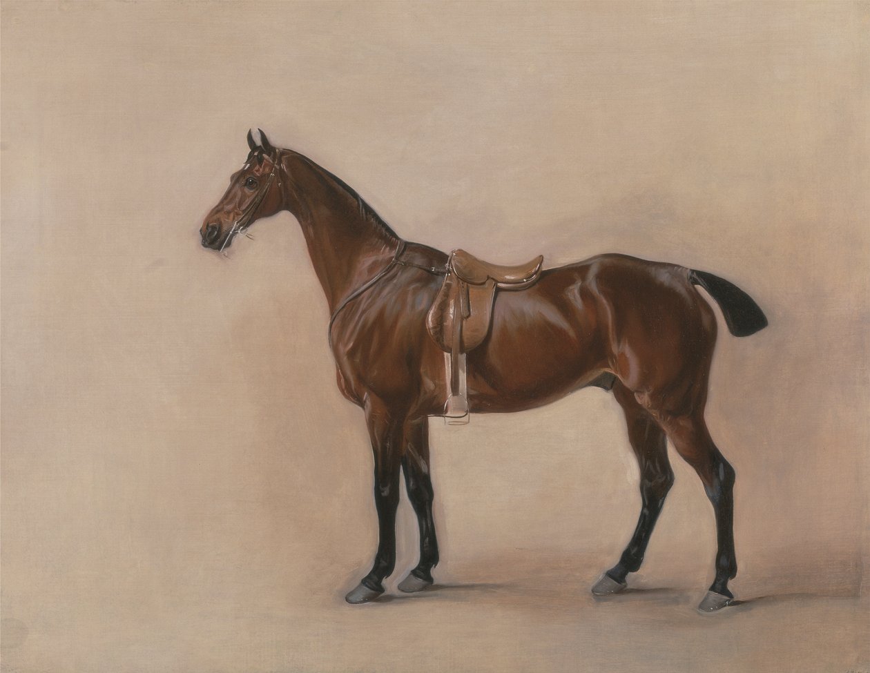 Studium Saddled Bay Hunter autorstwa John E. Ferneley