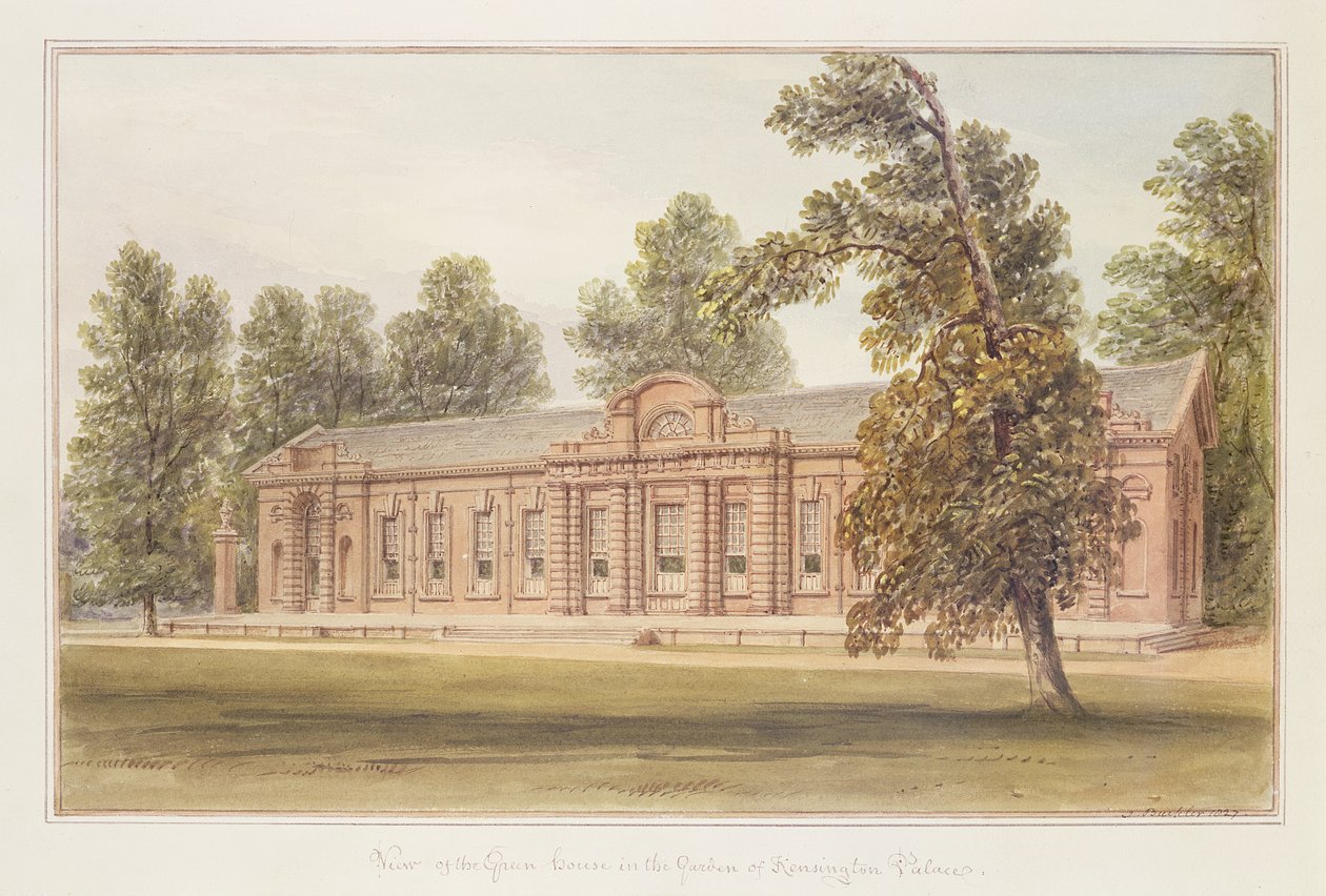 Oranżeria lub Szklarnia w Ogrodzie Pałacu Kensington autorstwa John Edmund Buckley