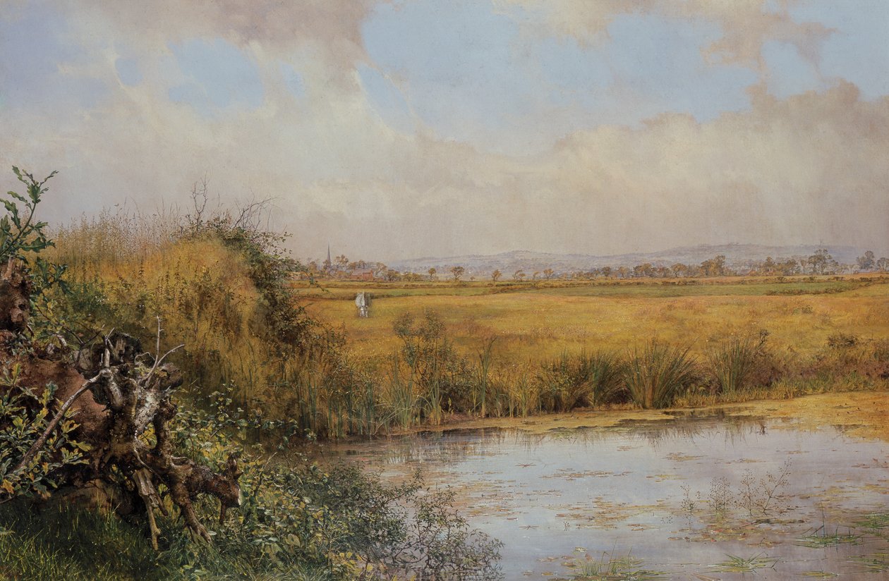 Nieznany obraz autorstwa John Edward Newton