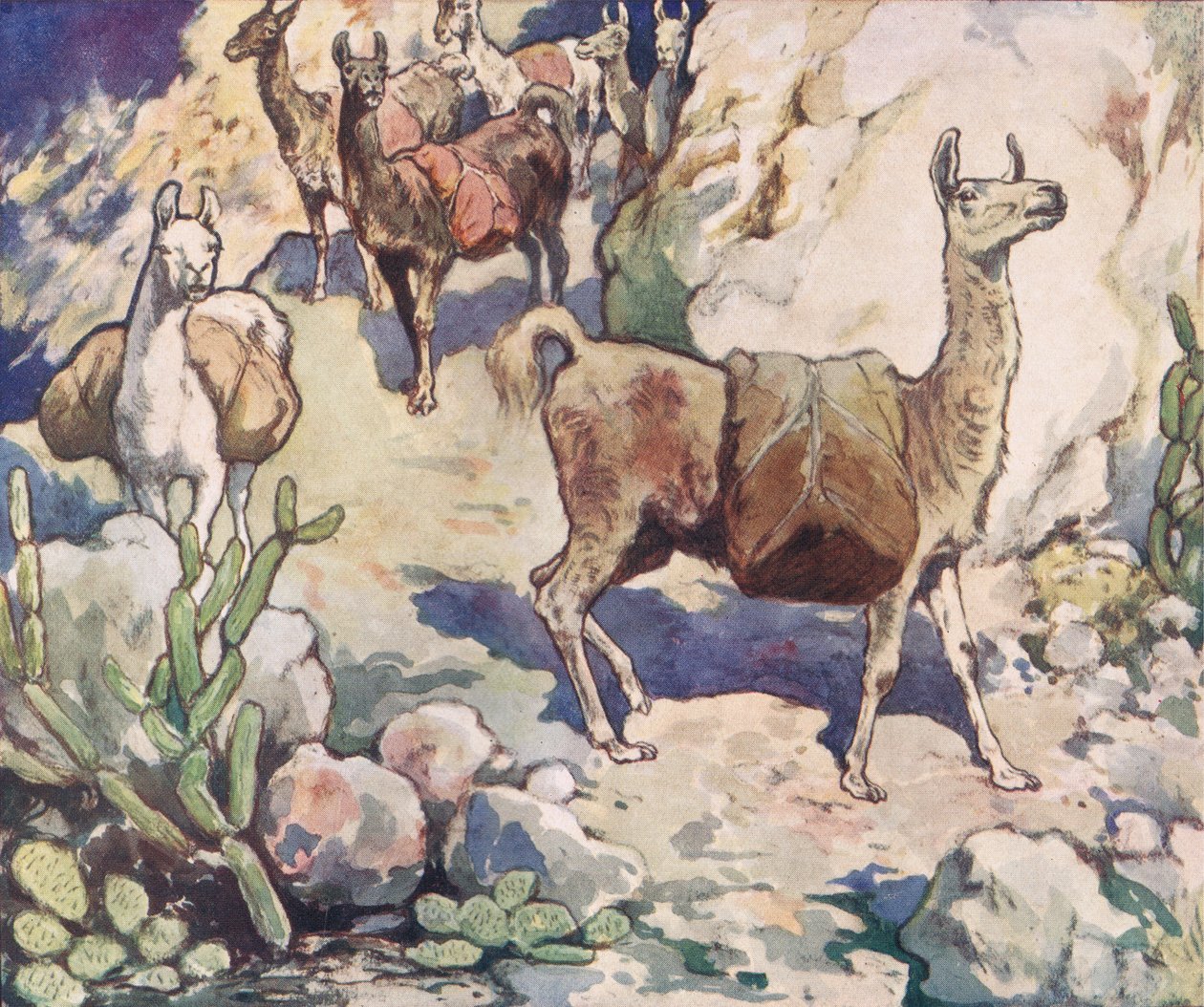 Alpaki na górskiej ścieżce, ilustracja z „Pomocnicy bez rąk” Gladys Davidson, wydanej w 1919 r. (kolor litho) autorstwa John Edwin Noble