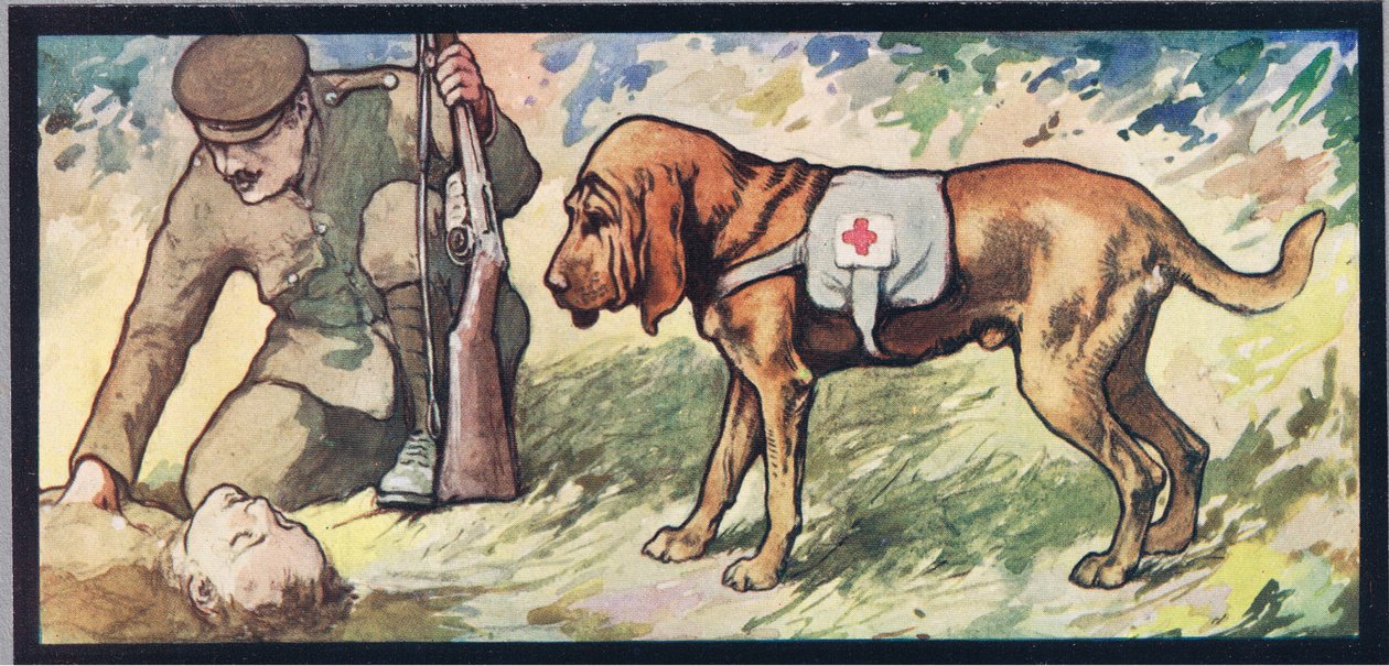 Ogar Ambuland, ilustracja z „Helpers Without Hands” Gladys Davidson, wydanej w 1919 r. (kolor litho) autorstwa John Edwin Noble