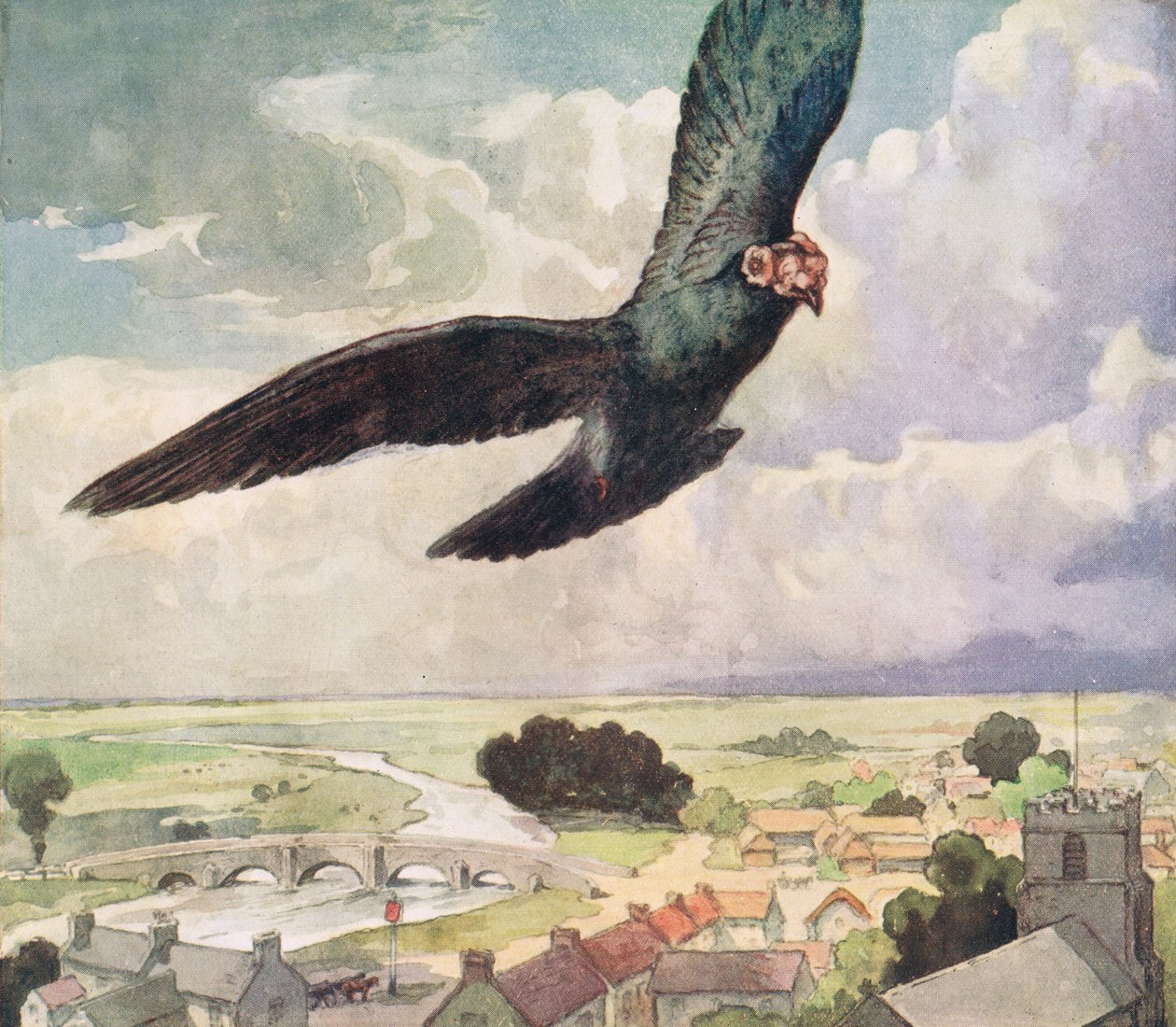 Ptak przelatujący nad miastem, ilustracja z „Pomocnicy bez rąk” Gladys Davidson, wydanej w 1919 r. (kolor litho) autorstwa John Edwin Noble