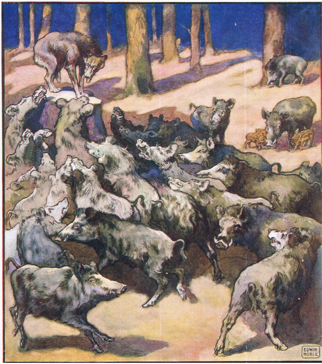 Na środku pnia stał duży szary wilk (kolor lito) autorstwa John Edwin Noble