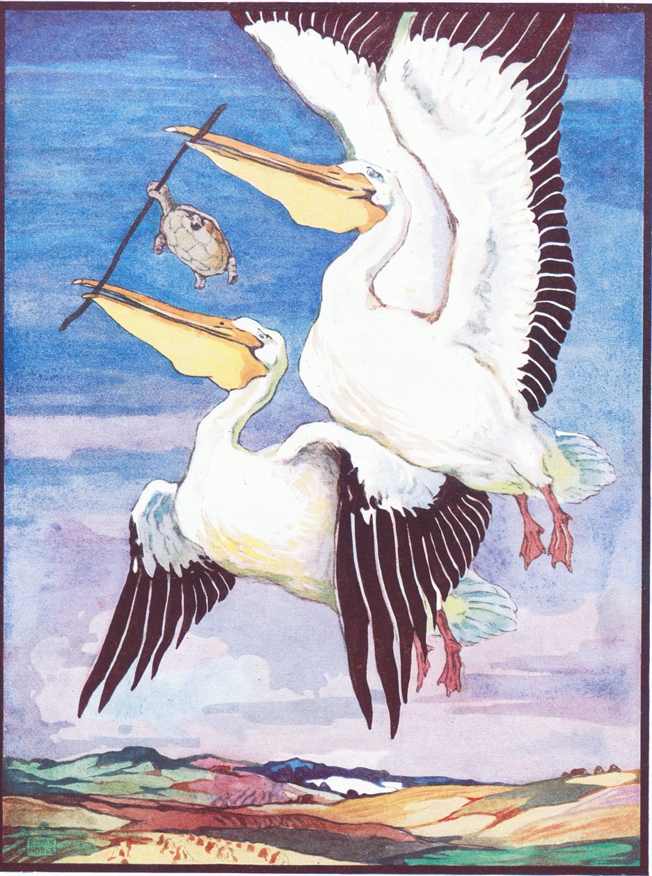 „To był jeden z najdziwniejszych widoków, jakie kiedykolwiek były”, ilustracja do „Żółwia, który nie mógł utrzymać języka”, z „Legendy zwierząt z wielu krain”, wydanej przez Raphael Tuck & Sons Ltd. (kolor lito) autorstwa John Edwin Noble