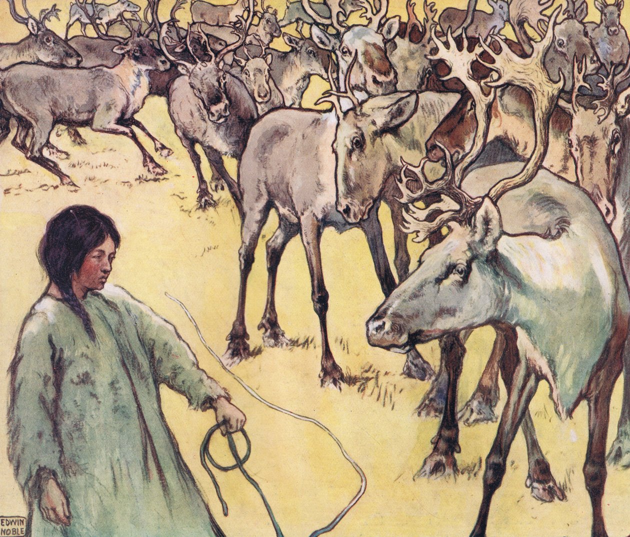 Stado łosi, ilustracja z „Pomocnicy bez rąk” Gladys Davidson, wydanej w 1919 r. (kolor litho) autorstwa John Edwin Noble