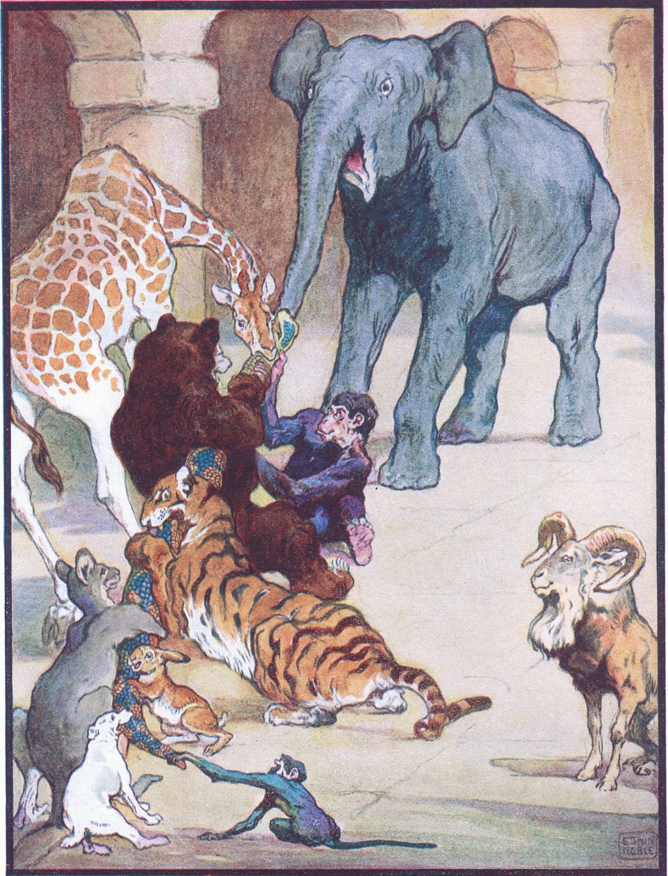„Nigdy wcześniej ani odkąd nie było takiego przeciągania liny”, ilustracja do „Zum, Zum, Ziss”, z „Animal Legends from Many Lands”, wydanej przez Raphael Tuck & Sons Ltd. (kolor lito) autorstwa John Edwin Noble