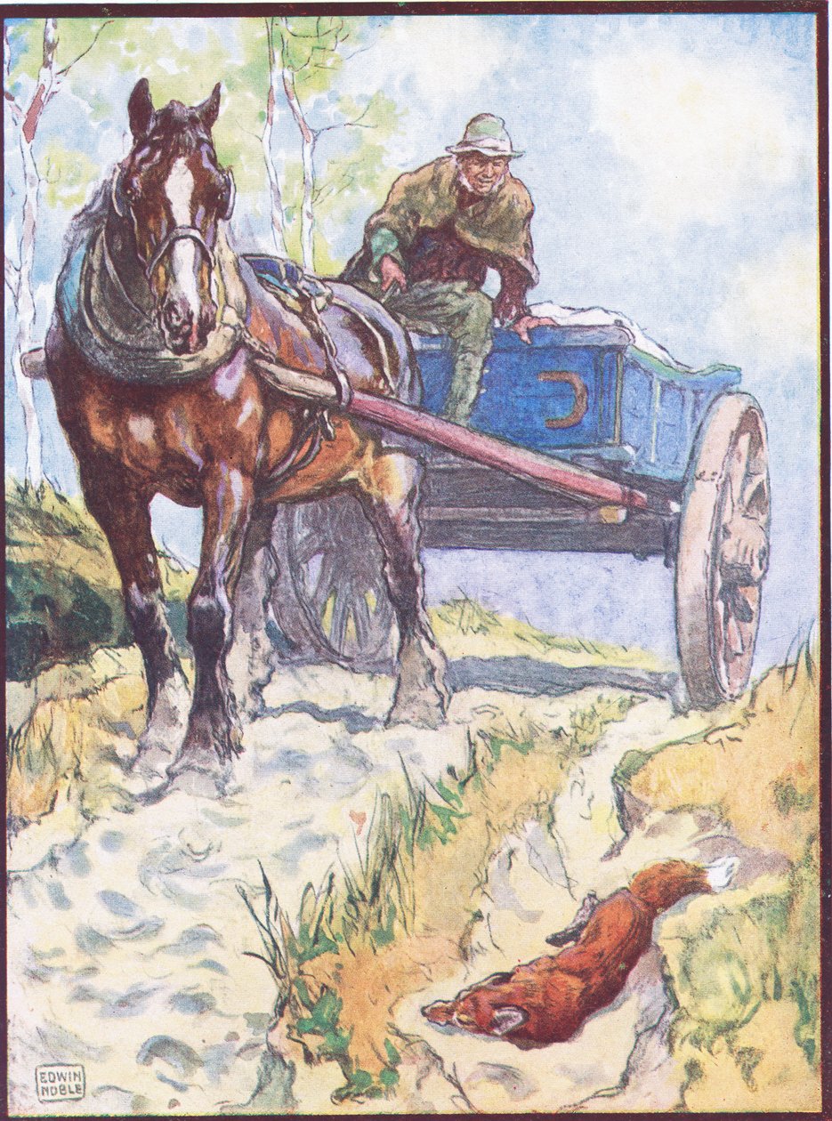 „Carter zaobserwował lisa leżącego w rutynie”, ilustracja do „Reynard the Fox”, z „Animal Legends from Many Lands”, wydanej przez Raphael Tuck & Sons Ltd. (kolor lito) autorstwa John Edwin Noble