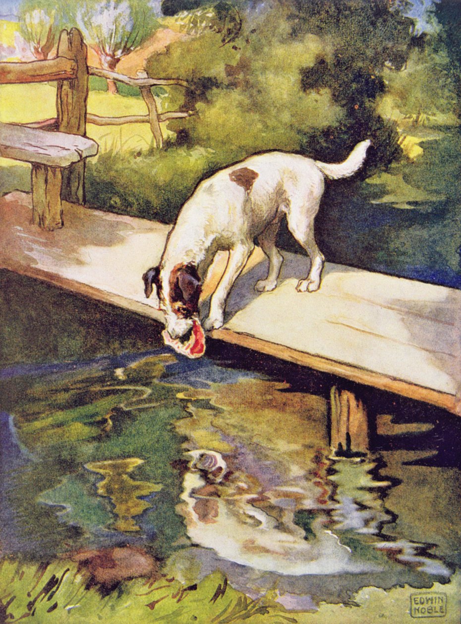 Pies i cień z „Bajek Ezopa”, wyd. Raphael Tuck & Sons Ltd., Londyn (ilustracja książkowa) autorstwa John Edwin Noble