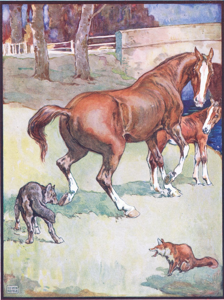 Klacz podniosła kopyto, ilustracja do lisa Reynarda, z Animal Legends from Many Lands, wydanej przez Raphael Tuck & Sons Ltd. autorstwa John Edwin Noble