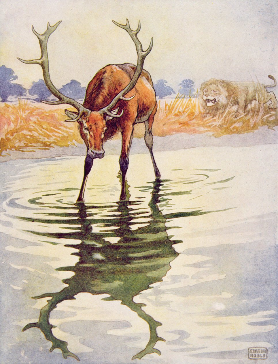 Jeleń i jego odbicie z „Bajek Ezopa”, wyd. Raphael Tuck & Sons Ltd., Londyn (ilustracja książkowa) autorstwa John Edwin Noble