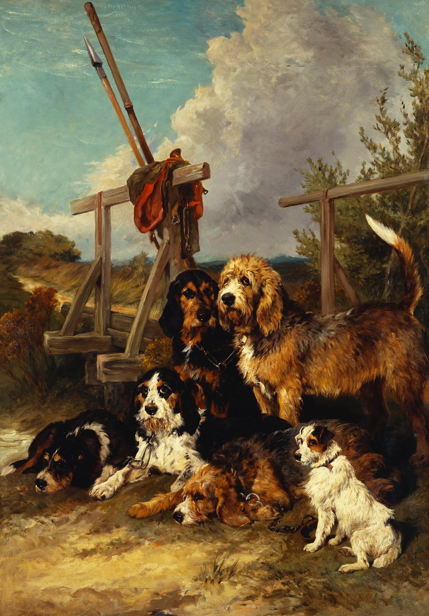Otter Hounds przy moście – zmęczony, 1881 autorstwa John Emms
