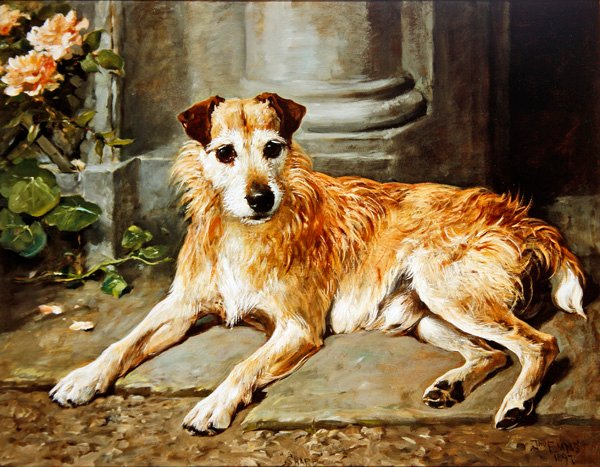 Ostry autorstwa John Emms