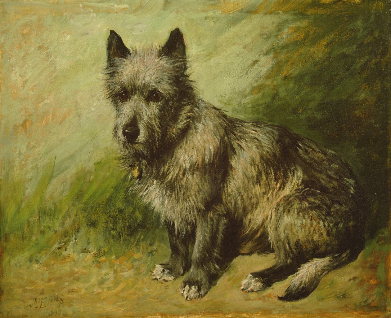 Łachmany autorstwa John Emms
