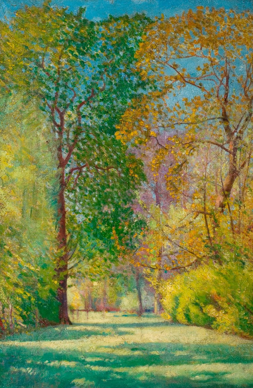Studium drzewa (olej na płótnie) autorstwa John Everett