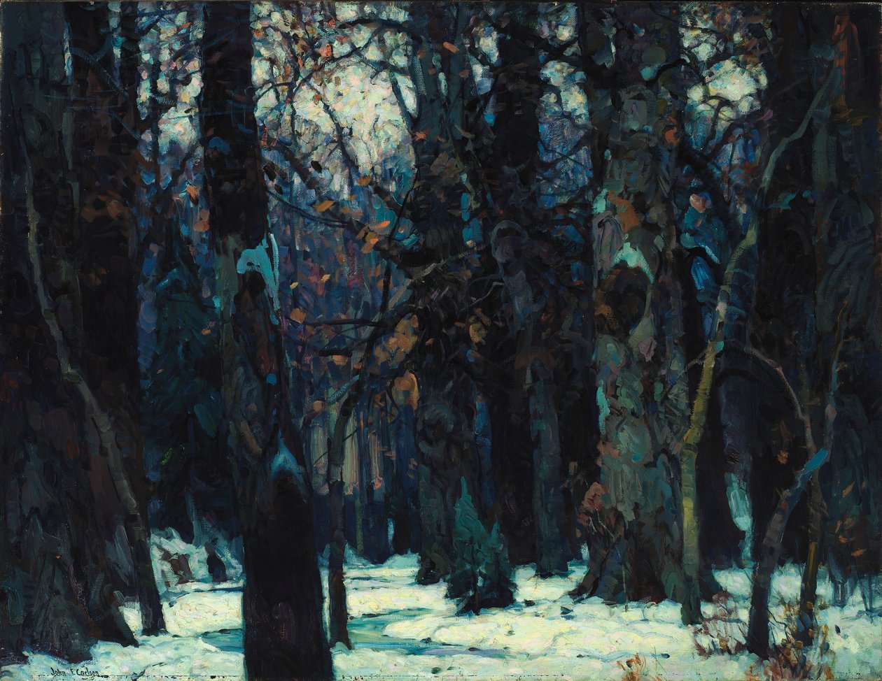 Wyczerpująca cisza autorstwa John F. Carlson