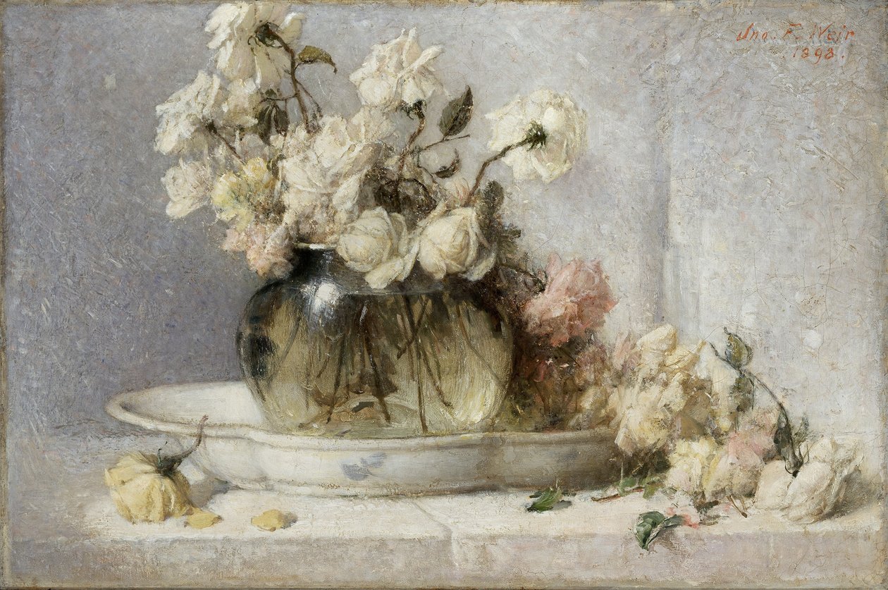 Róże autorstwa John Ferguson Weir