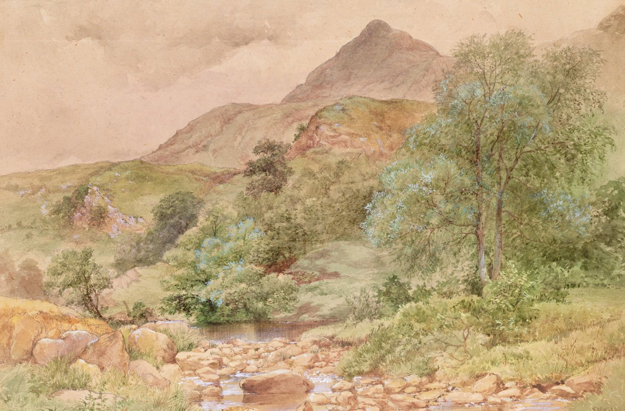 Moel Siabod, Północna Walia autorstwa John Finnie