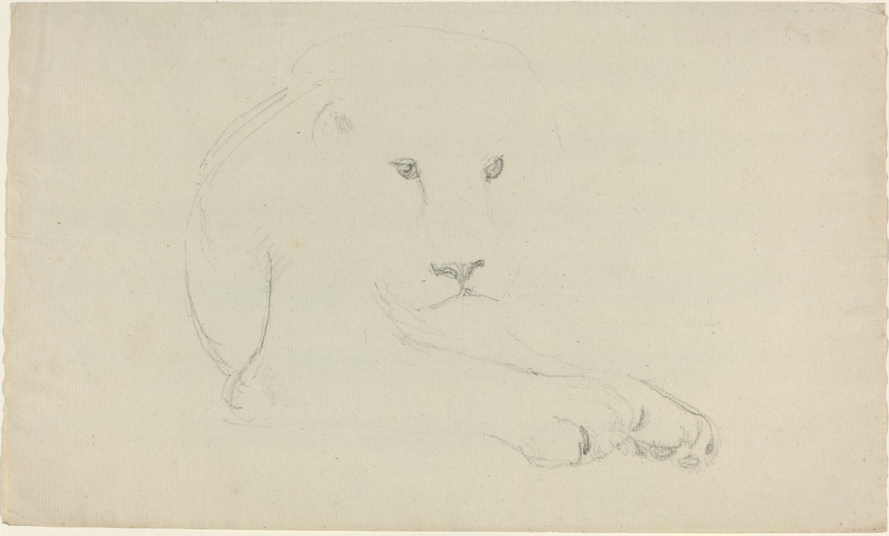 Lew autorstwa John Flaxman