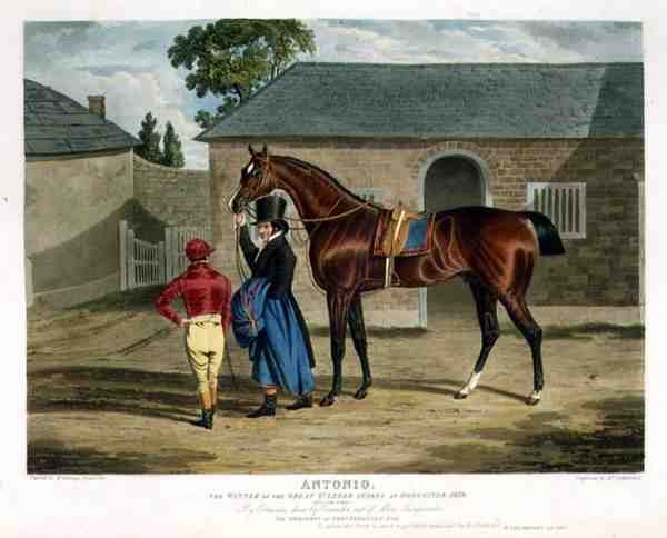 „Antonio”, zwycięzca Wielkiego St. Leger w Doncaster autorstwa John Frederick Herring Snr