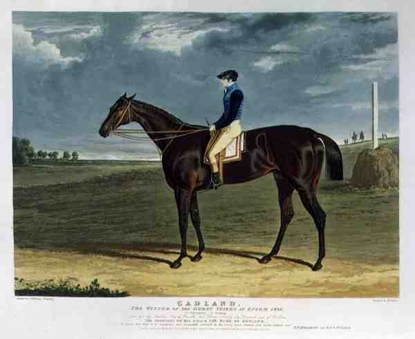 „Cadland”, zwycięzca Derby Stakes w Epsom autorstwa John Frederick Herring Snr