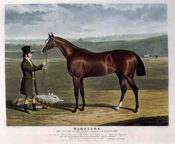 „Mameluke”, zwycięzca derby w Epsom autorstwa John Frederick Herring Snr