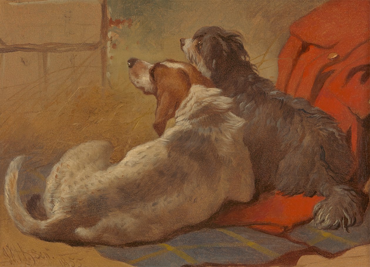 Pies i Bearded Collie siedzący na płaszczu myśliwskim autorstwa John Frederick Herring