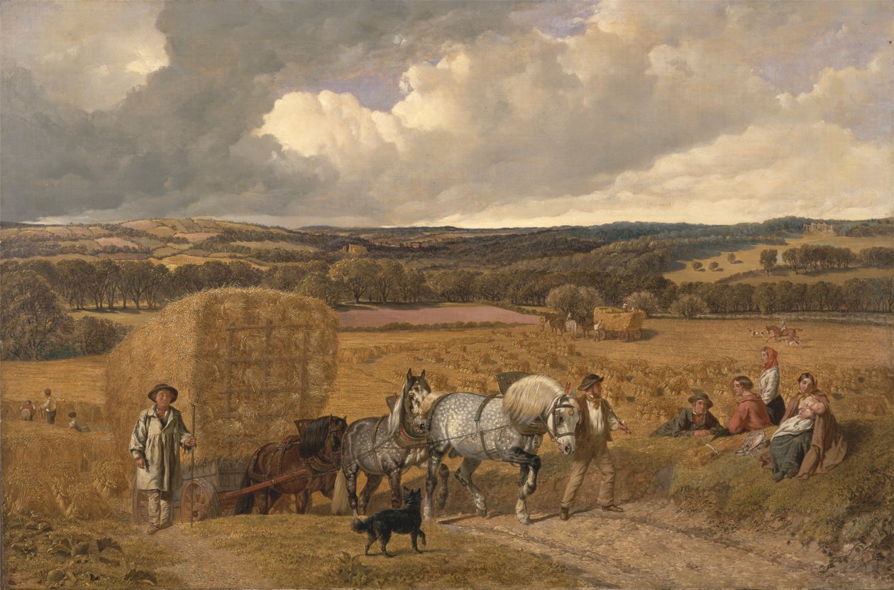 Żniwa autorstwa John Frederick Herring