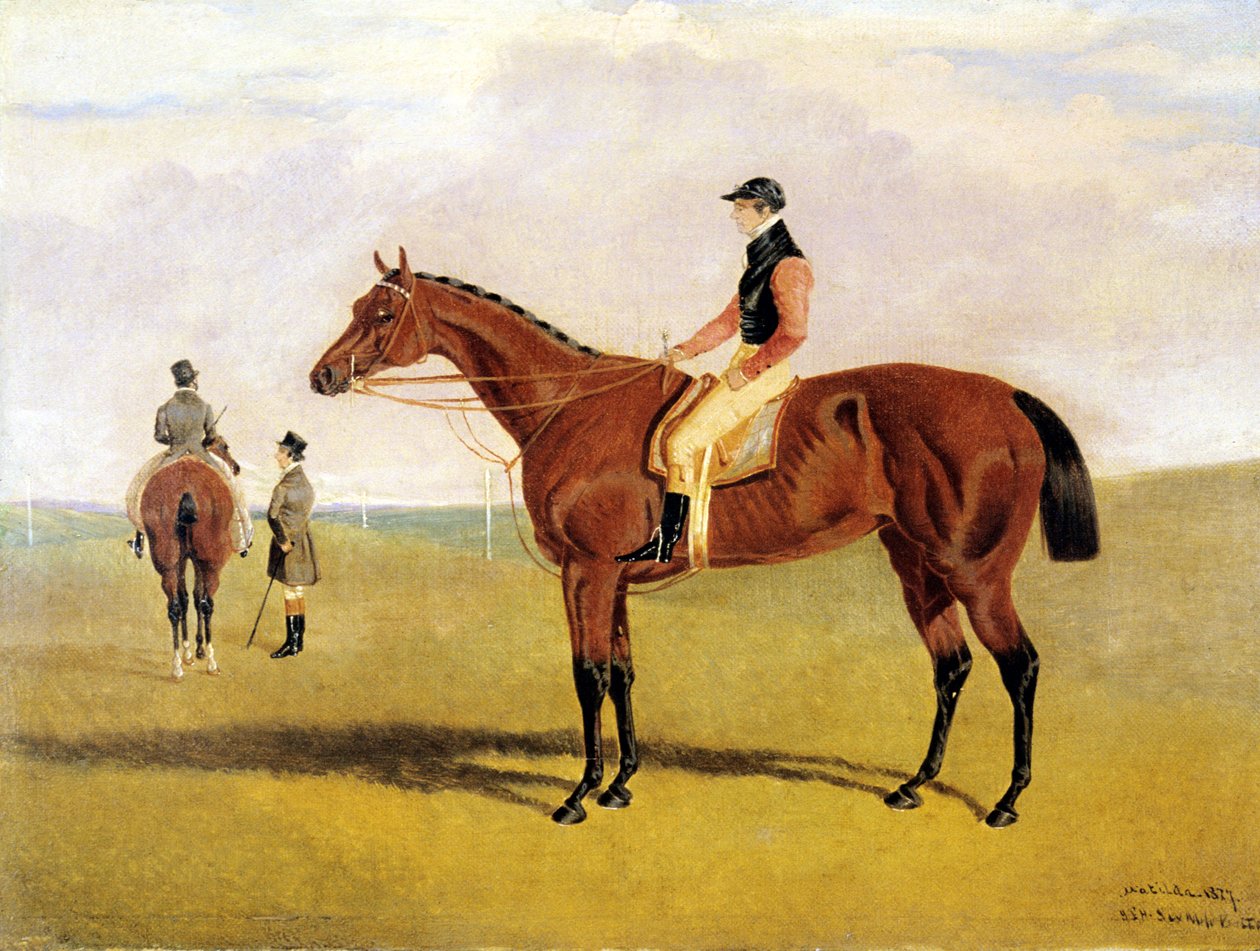 „Matylda” z Robinsonem autorstwa John Frederick Herring Jnr