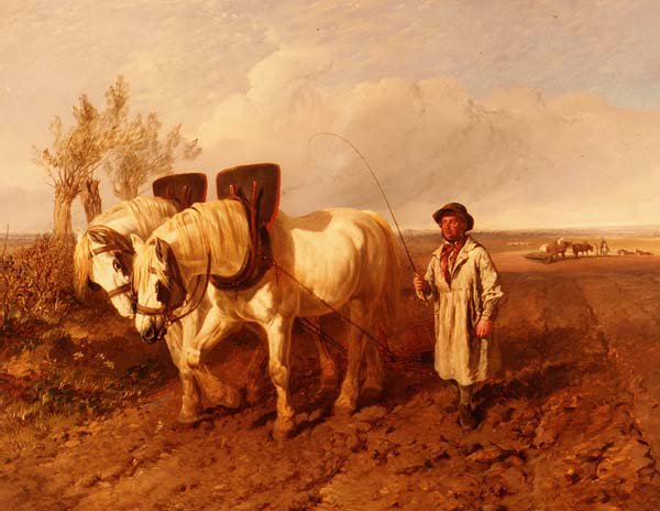 Orka autorstwa John Frederick Herring Jnr