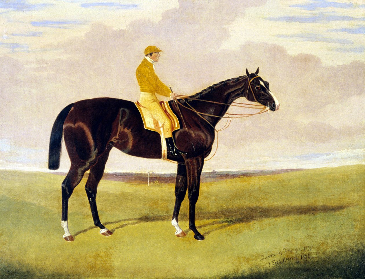 „Królowa Trumpów” z Lye autorstwa John Frederick Herring Jnr
