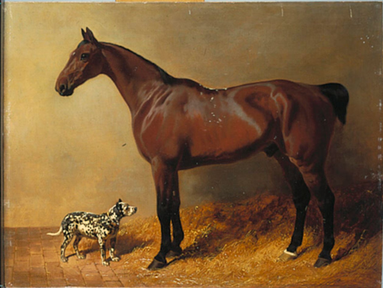 Bay Hunter i cętkowany pies w stajni, 1846 autorstwa John Frederick Herring Senior