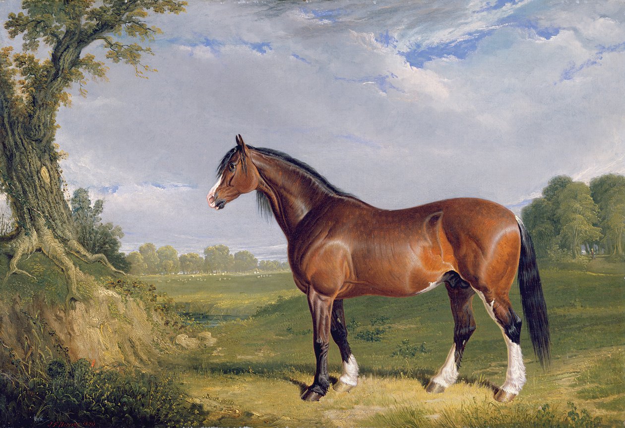 Ogier Clydesdale, 1820 autorstwa John Frederick Herring Senior