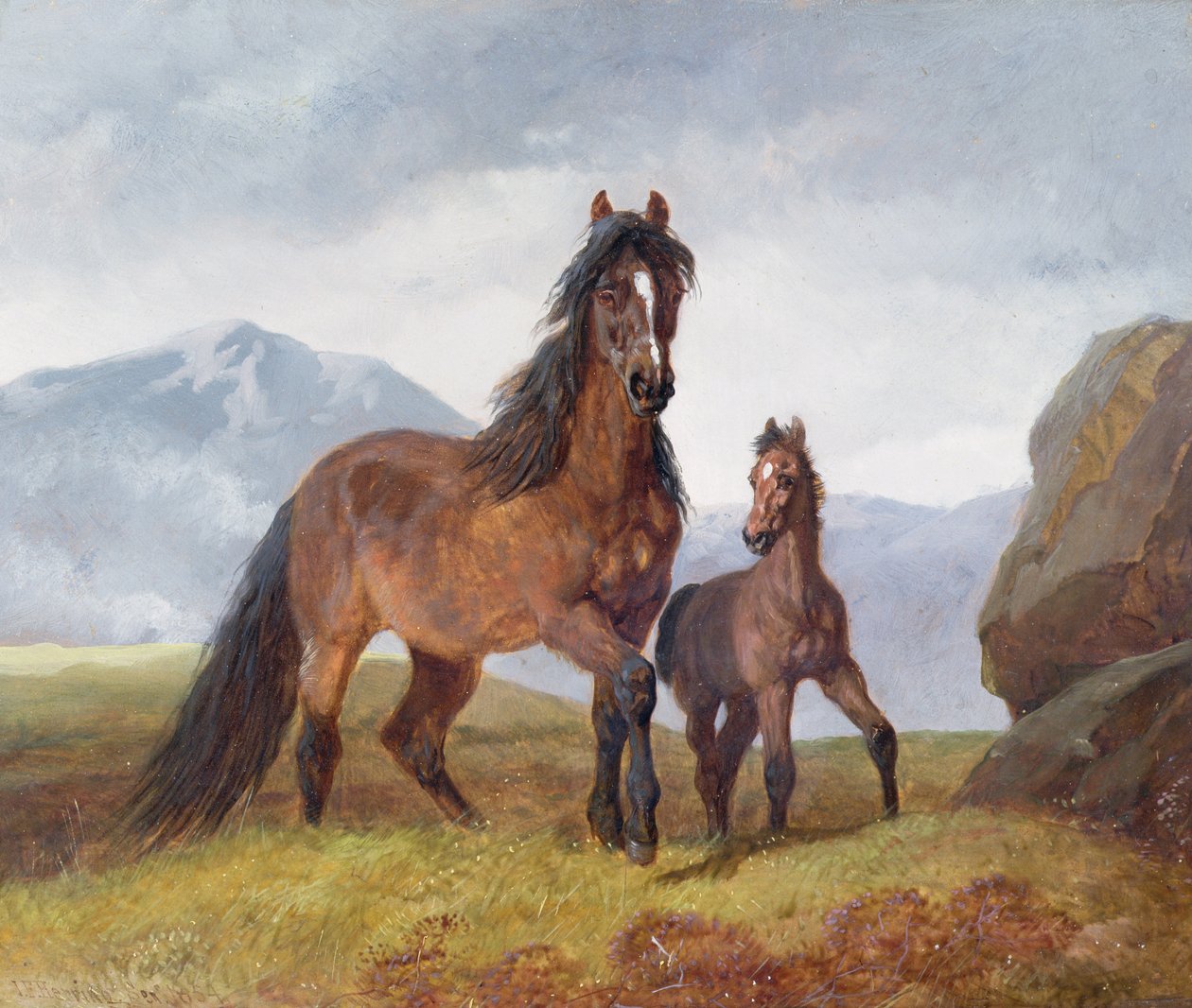 Walijska klacz górska i źrebię, 1854 (panel) autorstwa John Frederick Herring Senior